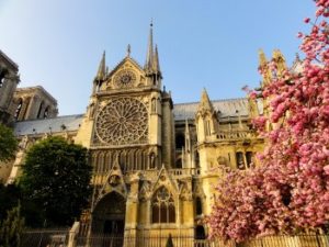 Cattedrale di Notre Dame
