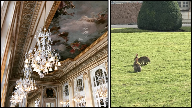 Il soffitto del ristorante del museo d’Orsay e il prato dell’Hôtel des Invalides